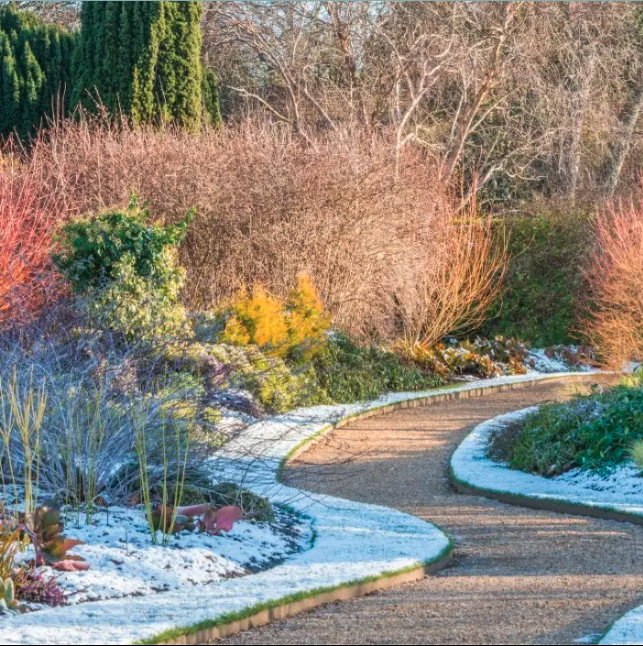 Landscape Tips